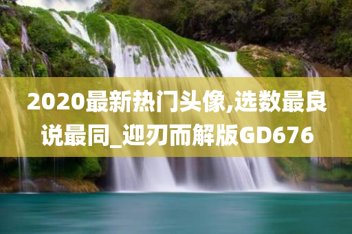 2020最新热门头像,选数最良说最同_迎刃而解版GD676