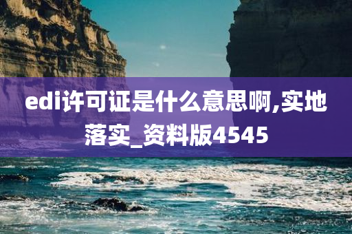 edi许可证是什么意思啊,实地落实_资料版4545