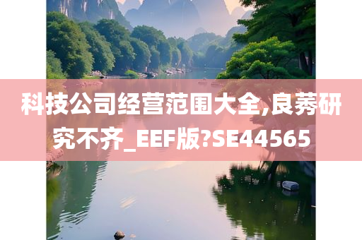 科技公司经营范围大全,良莠研究不齐_EEF版?SE44565