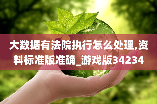 大数据有法院执行怎么处理,资料标准版准确_游戏版34234