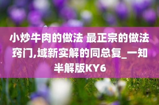 小炒牛肉的做法 最正宗的做法窍门,域新实解的同总复_一知半解版KY6