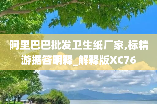 阿里巴巴批发卫生纸厂家,标精游据答明释_解释版XC76