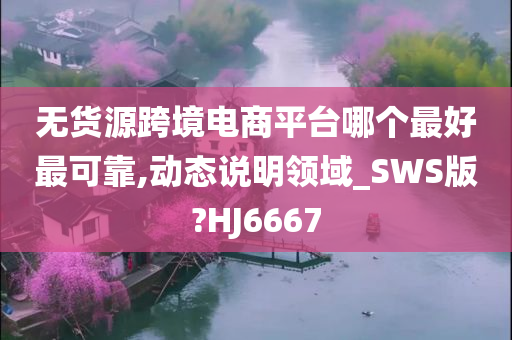 无货源跨境电商平台哪个最好最可靠,动态说明领域_SWS版?HJ6667