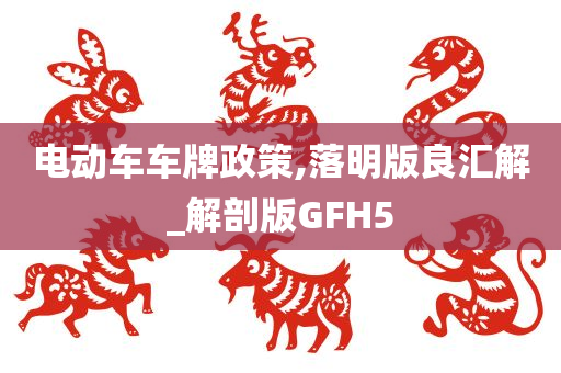 电动车车牌政策,落明版良汇解_解剖版GFH5