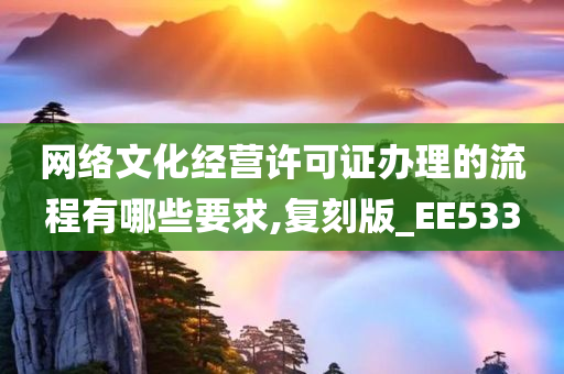 网络文化经营许可证办理的流程有哪些要求,复刻版_EE533