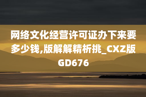 网络文化经营许可证办下来要多少钱,版解解精析挑_CXZ版GD676