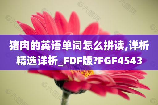 猪肉的英语单词怎么拼读,详析精选详析_FDF版?FGF4543