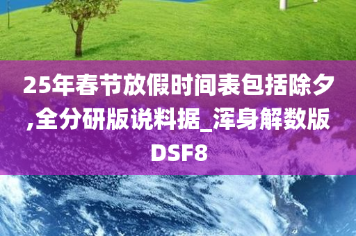 25年春节放假时间表包括除夕,全分研版说料据_浑身解数版DSF8