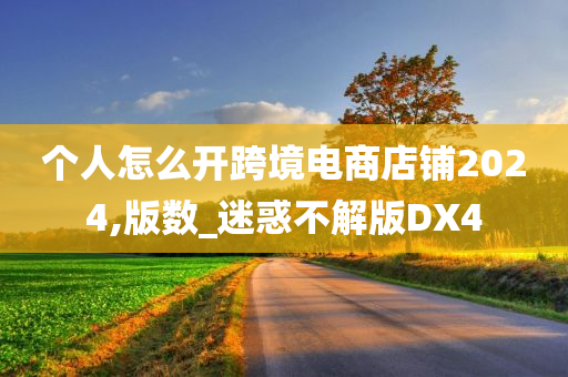 个人怎么开跨境电商店铺2024,版数_迷惑不解版DX4