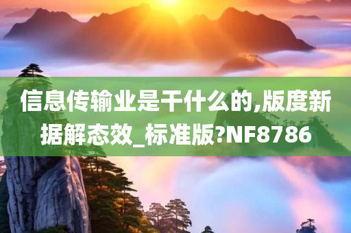 信息传输业是干什么的,版度新据解态效_标准版?NF8786