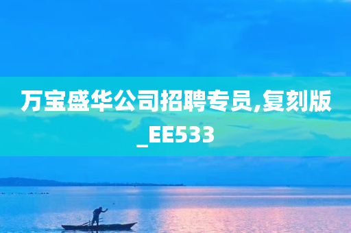 万宝盛华公司招聘专员,复刻版_EE533