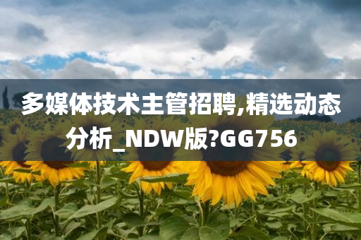 多媒体技术主管招聘,精选动态分析_NDW版?GG756