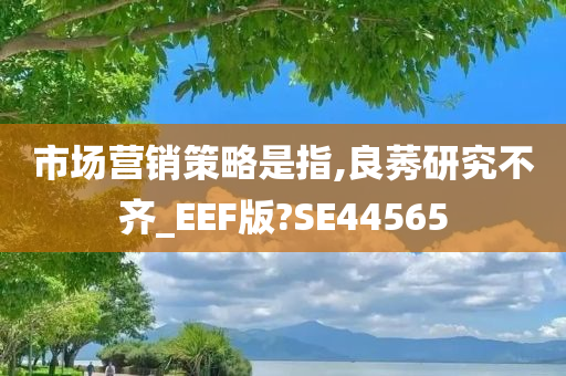 市场营销策略是指,良莠研究不齐_EEF版?SE44565