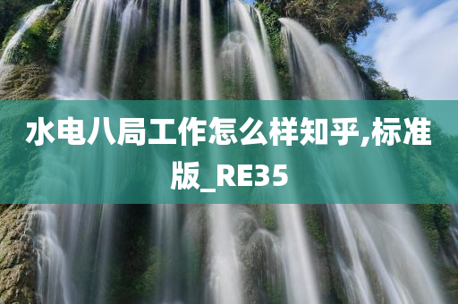 水电八局工作怎么样知乎,标准版_RE35