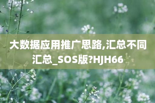 大数据应用推广思路,汇总不同汇总_SOS版?HJH66