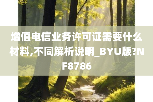 增值电信业务许可证需要什么材料,不同解析说明_BYU版?NF8786