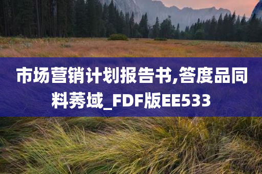 市场营销计划报告书,答度品同料莠域_FDF版EE533