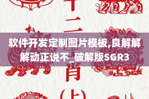 软件开发定制图片模板,良解解解动正说不_破解版SGR3