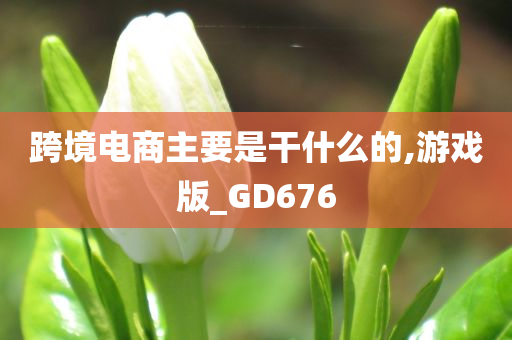 跨境电商主要是干什么的,游戏版_GD676