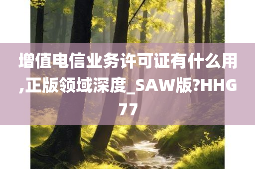 增值电信业务许可证有什么用,正版领域深度_SAW版?HHG77