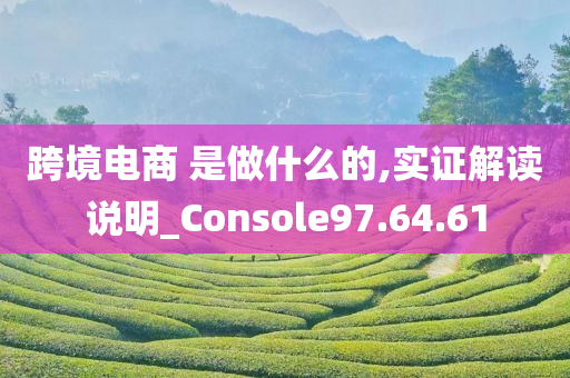 跨境电商 是做什么的,实证解读说明_Console97.64.61