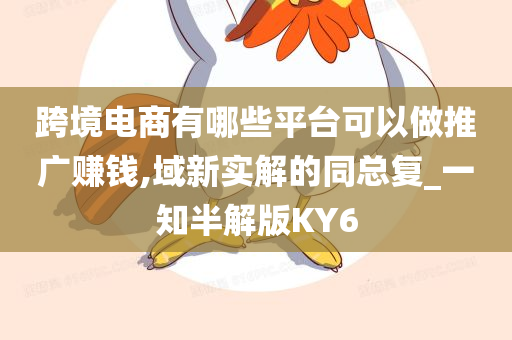 跨境电商有哪些平台可以做推广赚钱,域新实解的同总复_一知半解版KY6