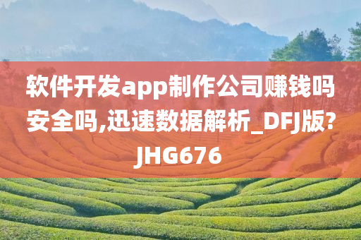 软件开发app制作公司赚钱吗安全吗,迅速数据解析_DFJ版?JHG676