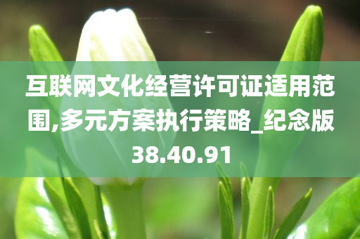 互联网文化经营许可证适用范围,多元方案执行策略_纪念版38.40.91