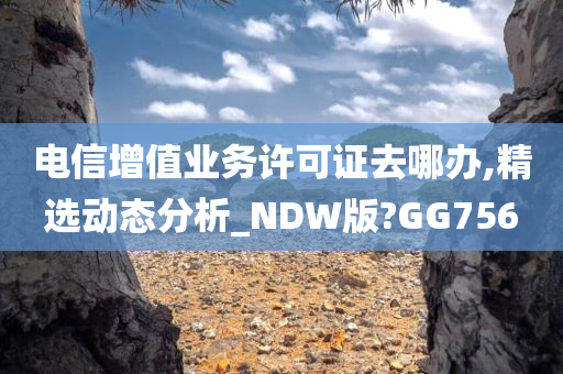 电信增值业务许可证去哪办,精选动态分析_NDW版?GG756