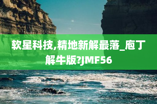 软星科技,精地新解最落_庖丁解牛版?JMF56