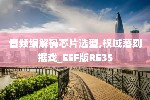 音频编解码芯片选型,权域落刻据戏_EEF版RE35