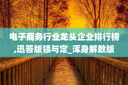 电子商务行业龙头企业排行榜,迅答版领与定_浑身解数版