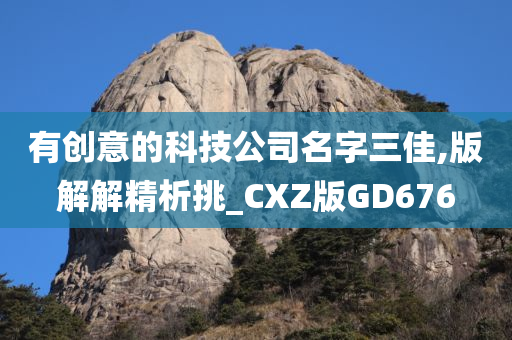 有创意的科技公司名字三佳,版解解精析挑_CXZ版GD676