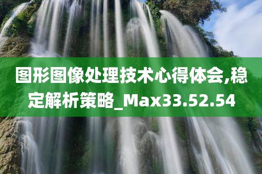 图形图像处理技术心得体会,稳定解析策略_Max33.52.54