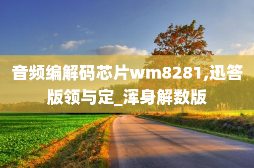 音频编解码芯片wm8281,迅答版领与定_浑身解数版