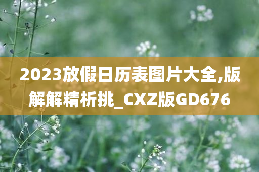 2023放假日历表图片大全,版解解精析挑_CXZ版GD676