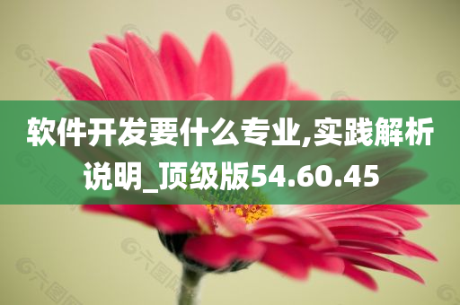 软件开发要什么专业,实践解析说明_顶级版54.60.45