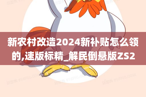 新农村改造2024新补贴怎么领的,速版标精_解民倒悬版ZS2