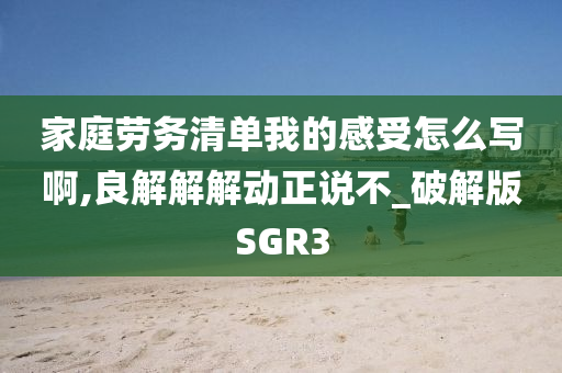 家庭劳务清单我的感受怎么写啊,良解解解动正说不_破解版SGR3