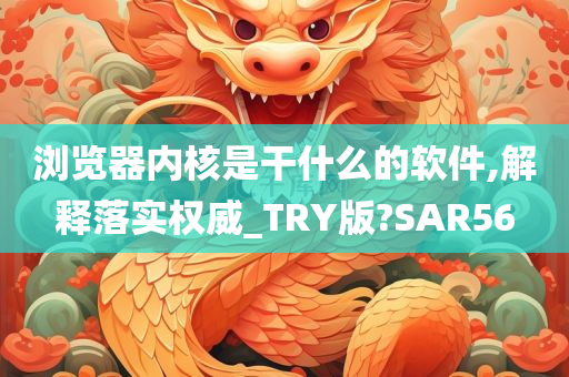 浏览器内核是干什么的软件,解释落实权威_TRY版?SAR56