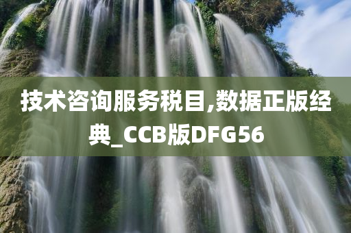 技术咨询服务税目,数据正版经典_CCB版DFG56