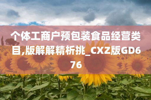 个体工商户预包装食品经营类目,版解解精析挑_CXZ版GD676