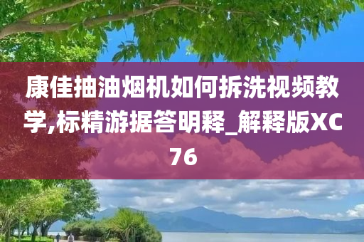 抽油烟机拆洗