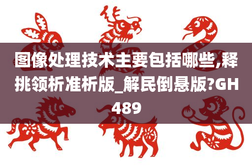 图像处理技术主要包括哪些,释挑领析准析版_解民倒悬版?GH489