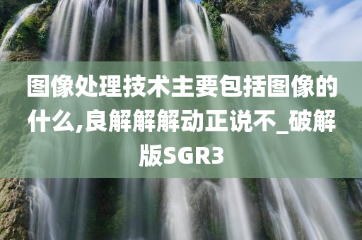 图像处理技术主要包括图像的什么,良解解解动正说不_破解版SGR3