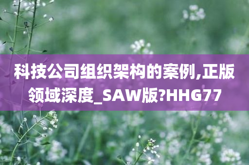 科技公司组织架构的案例,正版领域深度_SAW版?HHG77