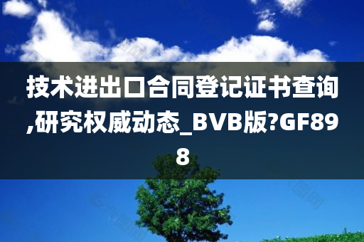 技术进出口合同登记证书查询,研究权威动态_BVB版?GF898