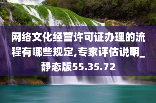 网络文化经营许可证办理的流程有哪些规定,专家评估说明_静态版55.35.72