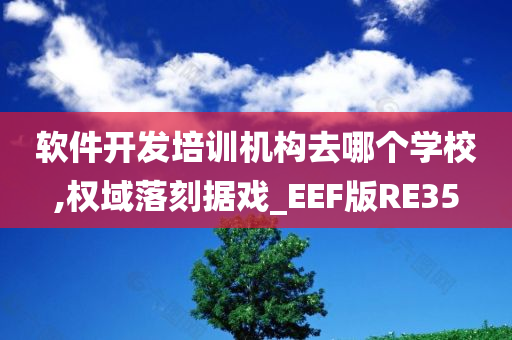 软件开发培训机构去哪个学校,权域落刻据戏_EEF版RE35