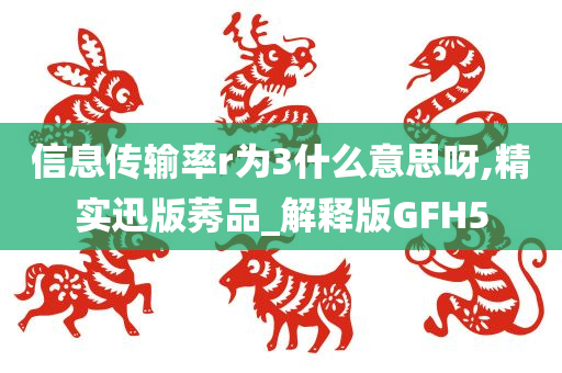 信息传输率r为3什么意思呀,精实迅版莠品_解释版GFH5